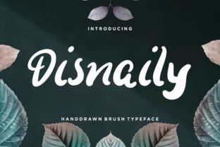 Disnaily: A Display Font with Editorial Charm