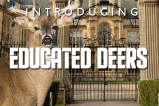 Elevate Your Makes with the Educated Deers Font